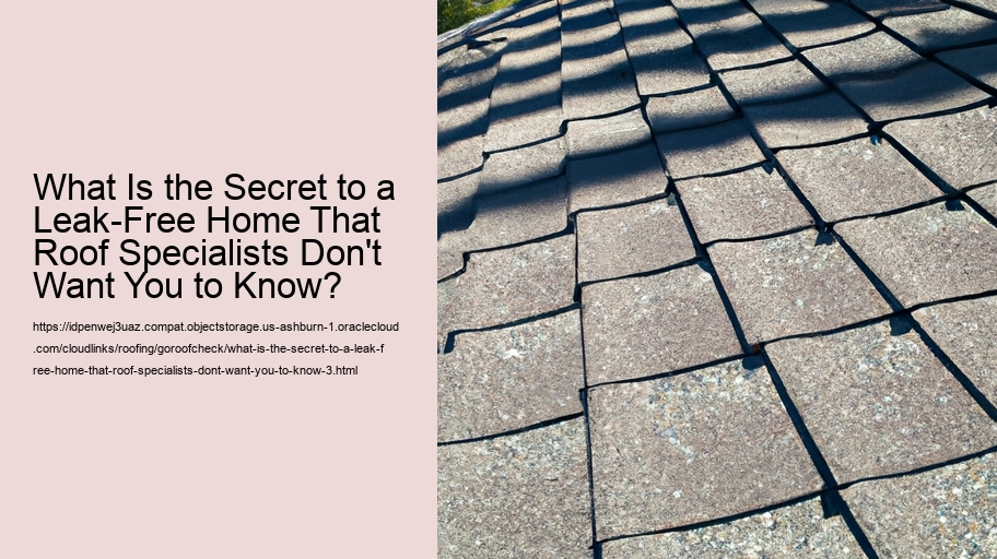 What Is the Secret to a Leak-Free Home That Roof Specialists Don't Want You to Know?