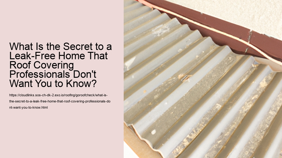 What Is the Secret to a Leak-Free Home That Roof Covering Professionals Don't Want You to Know?