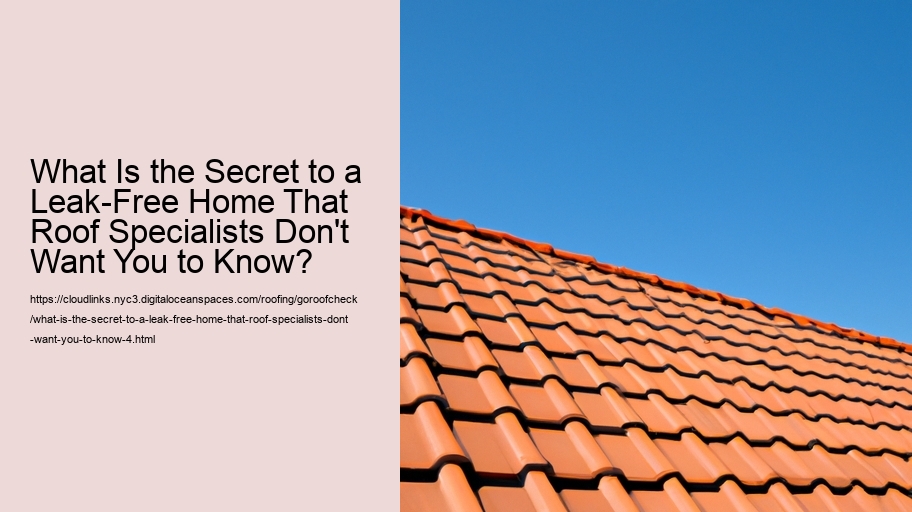 What Is the Secret to a Leak-Free Home That Roof Specialists Don't Want You to Know?