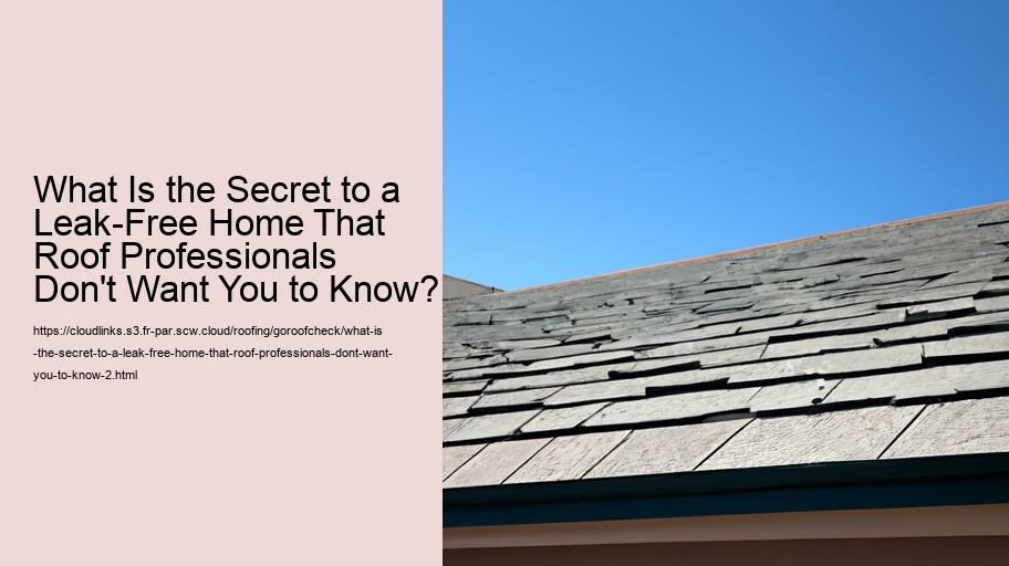 What Is the Secret to a Leak-Free Home That Roof Professionals Don't Want You to Know?