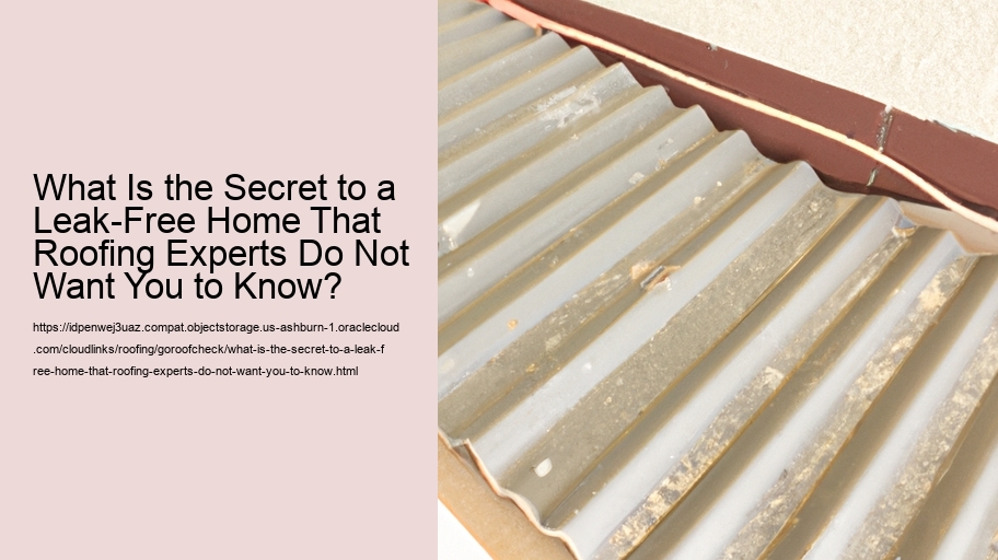 What Is the Secret to a Leak-Free Home That Roofing Experts Do Not Want You to Know?