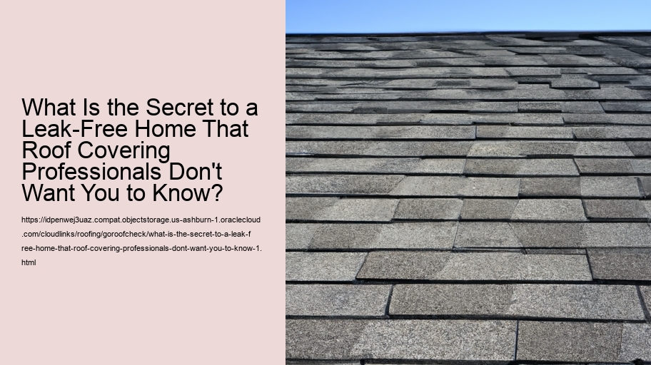 What Is the Secret to a Leak-Free Home That Roof Covering Professionals Don't Want You to Know?