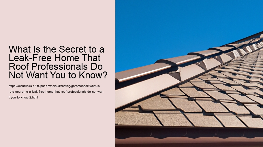 What Is the Secret to a Leak-Free Home That Roof Professionals Do Not Want You to Know?