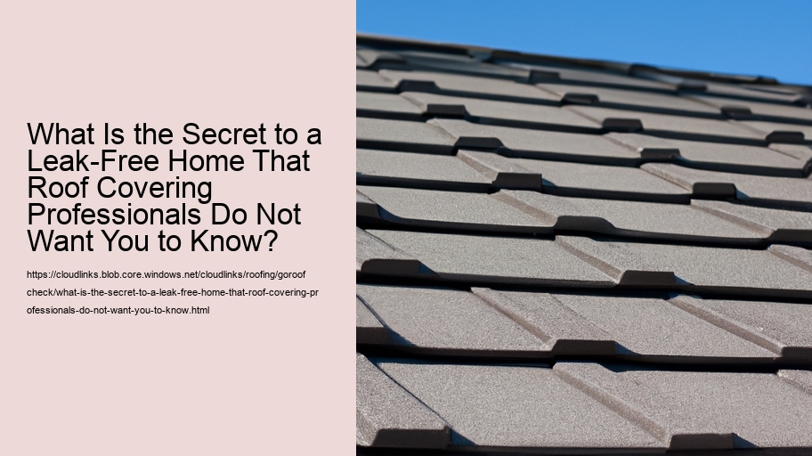 What Is the Secret to a Leak-Free Home That Roof Covering Professionals Do Not Want You to Know?