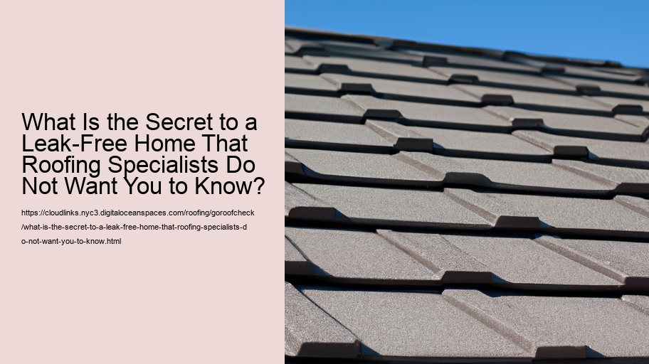 What Is the Secret to a Leak-Free Home That Roofing Specialists Do Not Want You to Know?