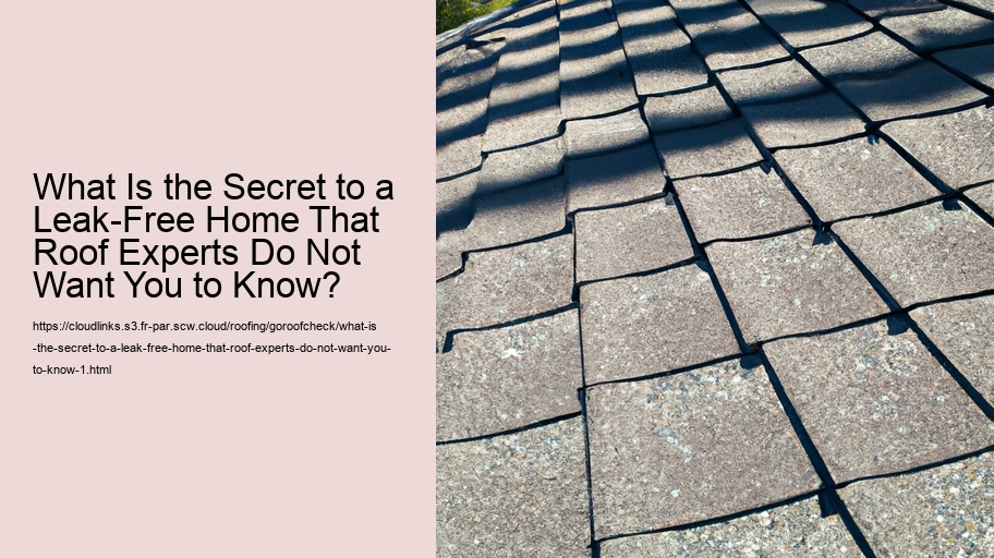 What Is the Secret to a Leak-Free Home That Roof Experts Do Not Want You to Know?