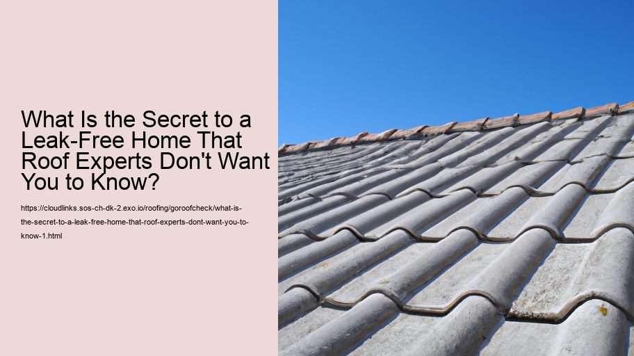 What Is the Secret to a Leak-Free Home That Roof Experts Don't Want You to Know?