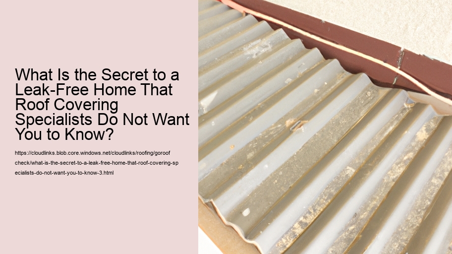 What Is the Secret to a Leak-Free Home That Roof Covering Specialists Do Not Want You to Know?