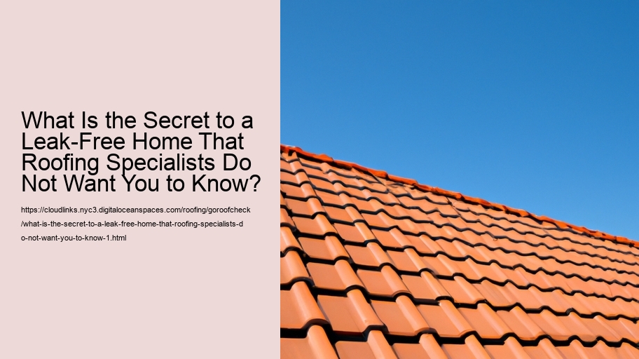 What Is the Secret to a Leak-Free Home That Roofing Specialists Do Not Want You to Know?