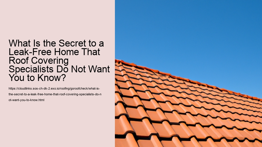 What Is the Secret to a Leak-Free Home That Roof Covering Specialists Do Not Want You to Know?