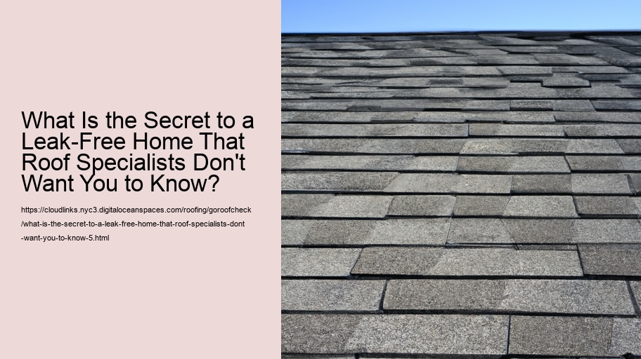 What Is the Secret to a Leak-Free Home That Roof Specialists Don't Want You to Know?