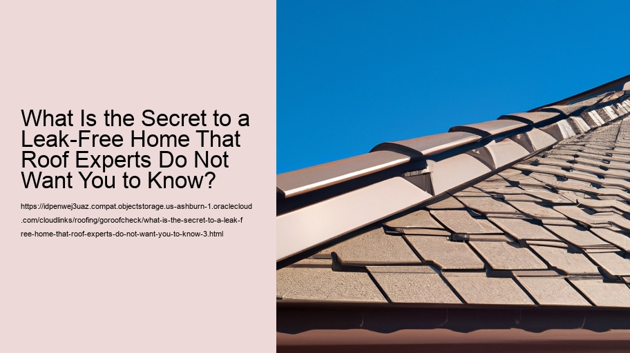 What Is the Secret to a Leak-Free Home That Roof Experts Do Not Want You to Know?