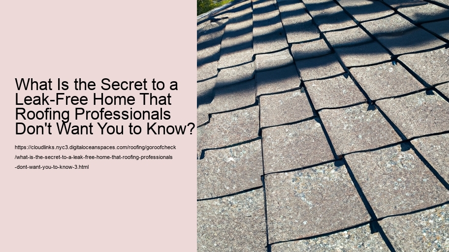 What Is the Secret to a Leak-Free Home That Roofing Professionals Don't Want You to Know?