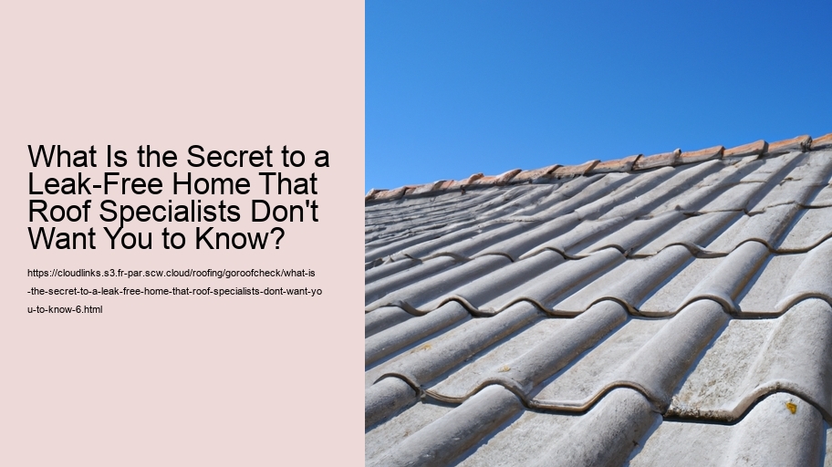 What Is the Secret to a Leak-Free Home That Roof Specialists Don't Want You to Know?