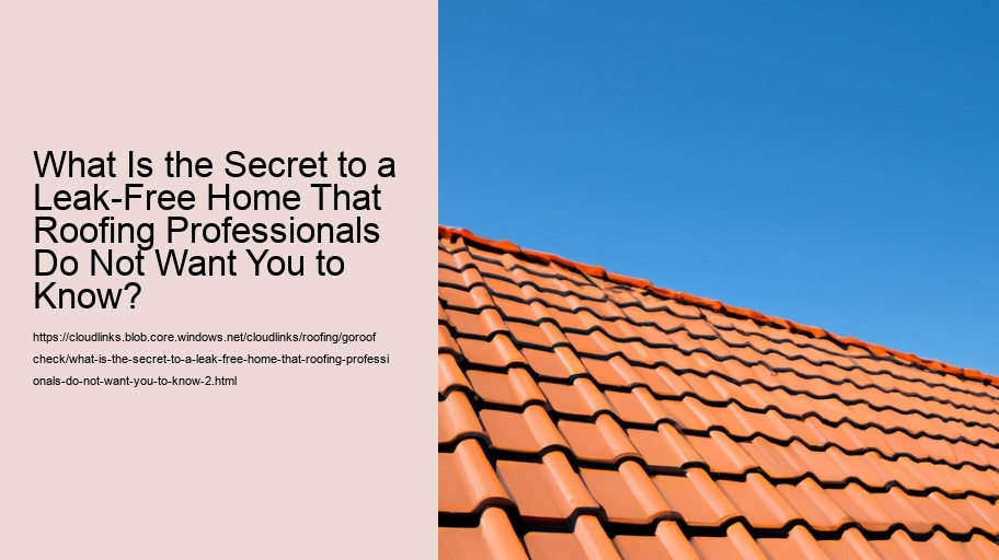 What Is the Secret to a Leak-Free Home That Roofing Professionals Do Not Want You to Know?