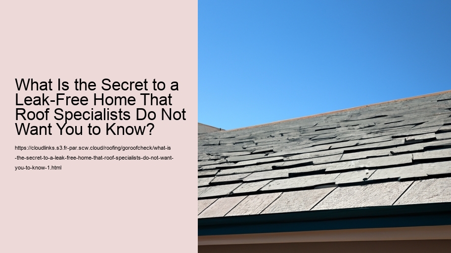 What Is the Secret to a Leak-Free Home That Roof Specialists Do Not Want You to Know?