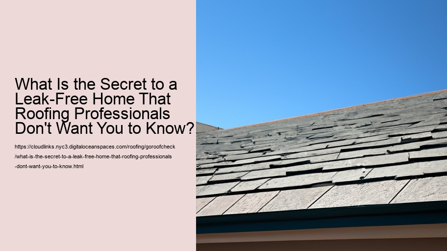 What Is the Secret to a Leak-Free Home That Roofing Professionals Don't Want You to Know?