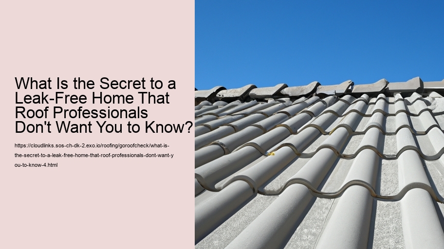 What Is the Secret to a Leak-Free Home That Roof Professionals Don't Want You to Know?