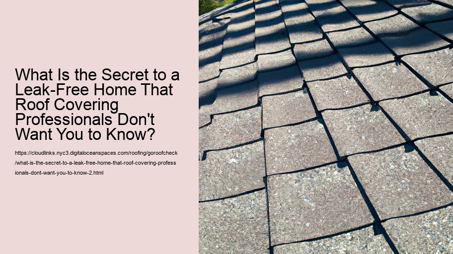 What Is the Secret to a Leak-Free Home That Roof Covering Professionals Don't Want You to Know?