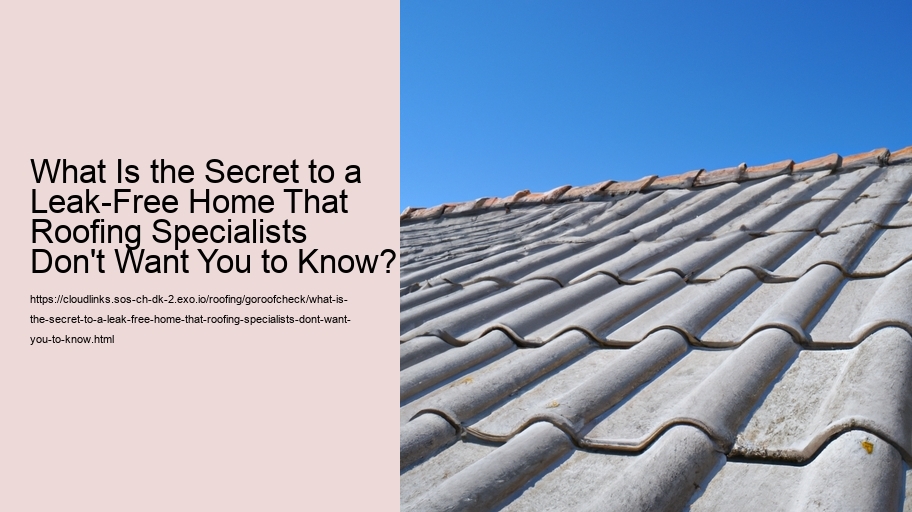 What Is the Secret to a Leak-Free Home That Roofing Specialists Don't Want You to Know?