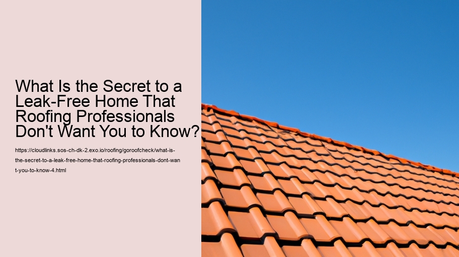 What Is the Secret to a Leak-Free Home That Roofing Professionals Don't Want You to Know?