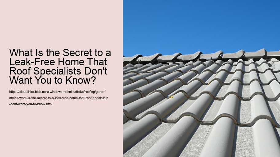 What Is the Secret to a Leak-Free Home That Roof Specialists Don't Want You to Know?