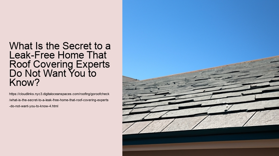 What Is the Secret to a Leak-Free Home That Roof Covering Experts Do Not Want You to Know?