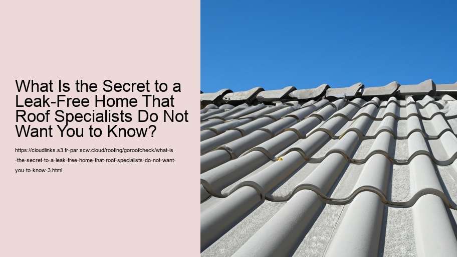 What Is the Secret to a Leak-Free Home That Roof Specialists Do Not Want You to Know?