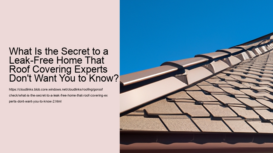 What Is the Secret to a Leak-Free Home That Roof Covering Experts Don't Want You to Know?