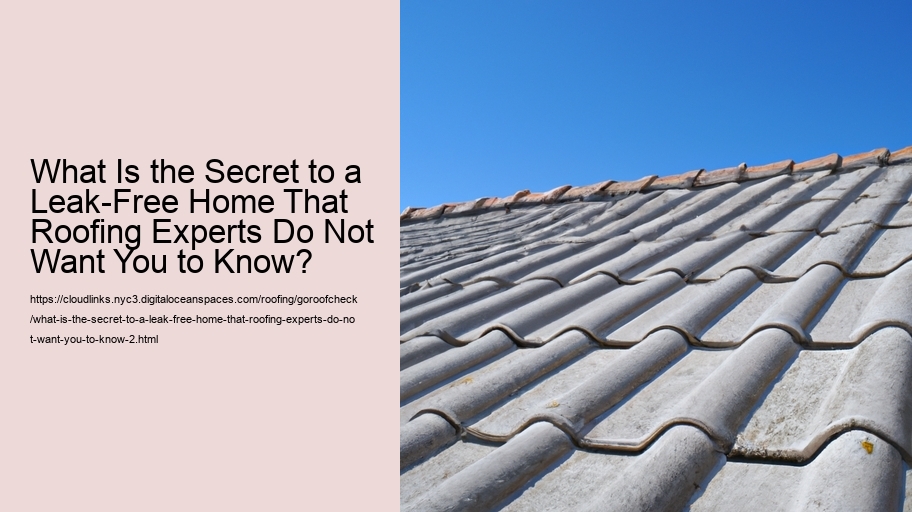 What Is the Secret to a Leak-Free Home That Roofing Experts Do Not Want You to Know?