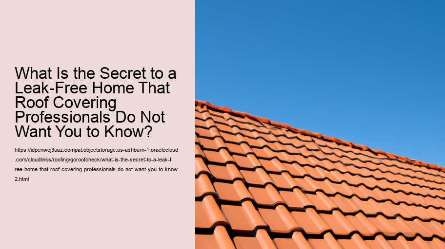 What Is the Secret to a Leak-Free Home That Roof Covering Professionals Do Not Want You to Know?