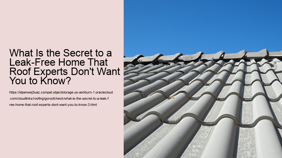 What Is the Secret to a Leak-Free Home That Roof Experts Don't Want You to Know?