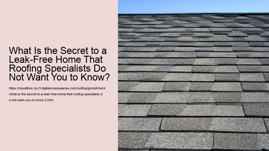 What Is the Secret to a Leak-Free Home That Roofing Specialists Do Not Want You to Know?