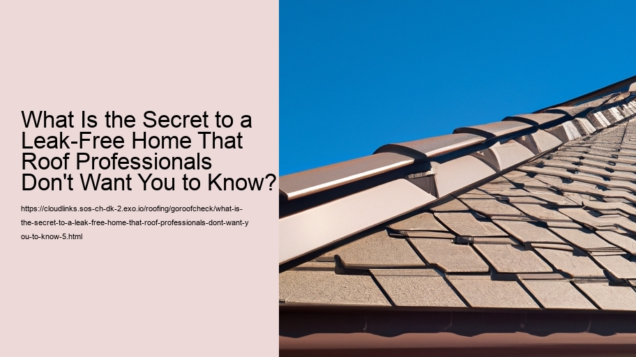 What Is the Secret to a Leak-Free Home That Roof Professionals Don't Want You to Know?