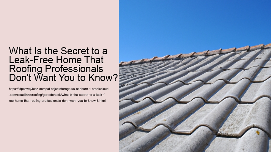 What Is the Secret to a Leak-Free Home That Roofing Professionals Don't Want You to Know?