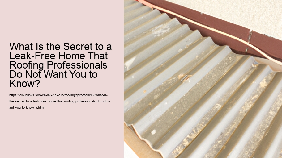 What Is the Secret to a Leak-Free Home That Roofing Professionals Do Not Want You to Know?