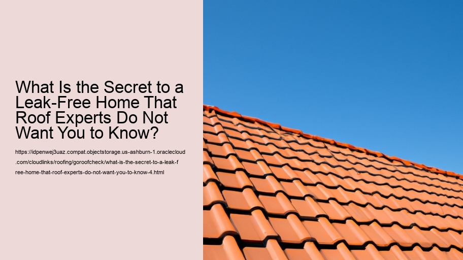 What Is the Secret to a Leak-Free Home That Roof Experts Do Not Want You to Know?