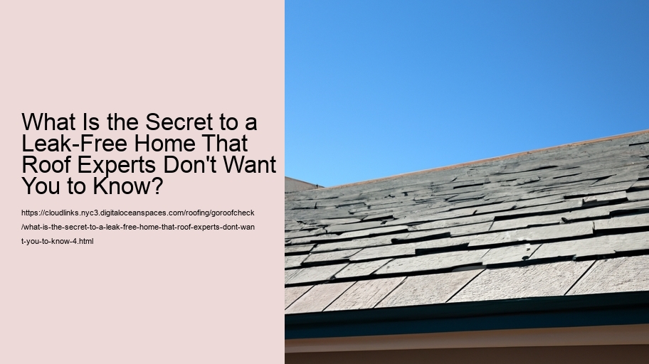 What Is the Secret to a Leak-Free Home That Roof Experts Don't Want You to Know?