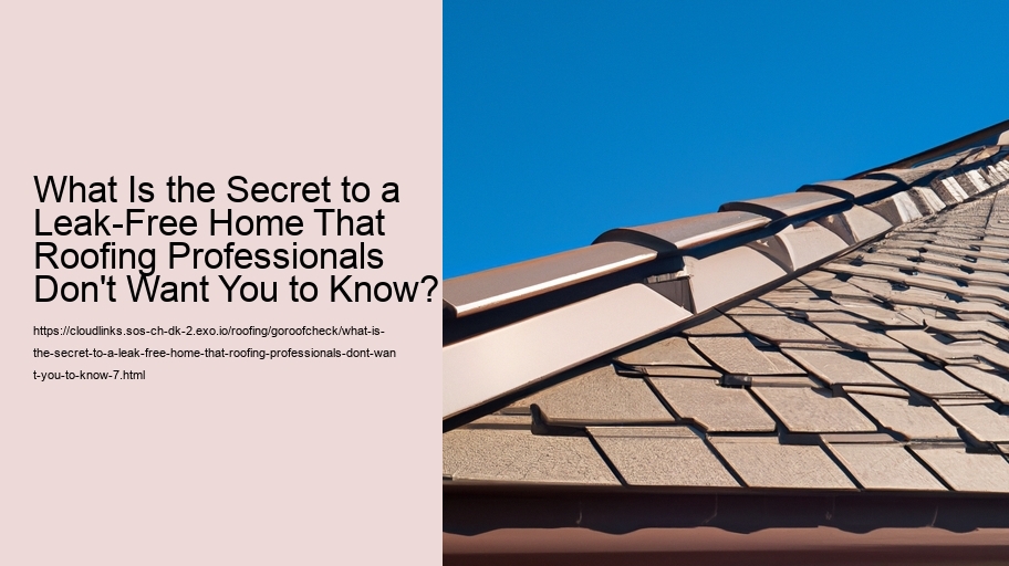 What Is the Secret to a Leak-Free Home That Roofing Professionals Don't Want You to Know?