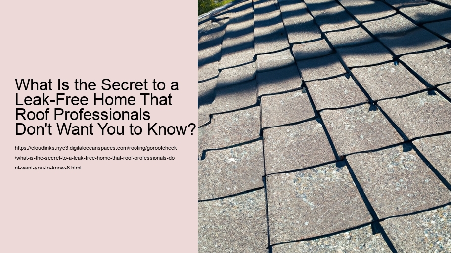 What Is the Secret to a Leak-Free Home That Roof Professionals Don't Want You to Know?