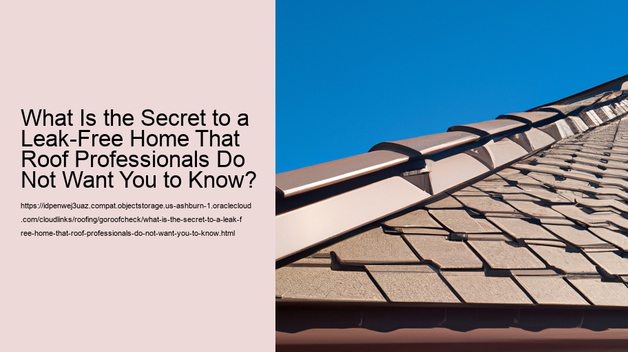 What Is the Secret to a Leak-Free Home That Roof Professionals Do Not Want You to Know?