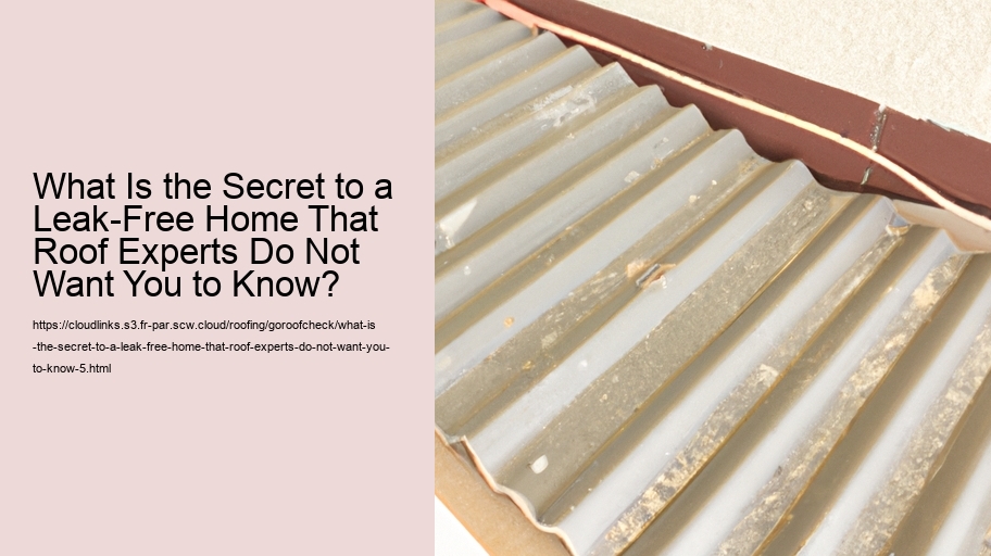 What Is the Secret to a Leak-Free Home That Roof Experts Do Not Want You to Know?