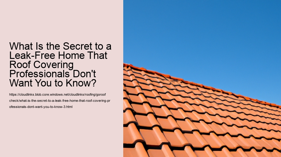 What Is the Secret to a Leak-Free Home That Roof Covering Professionals Don't Want You to Know?