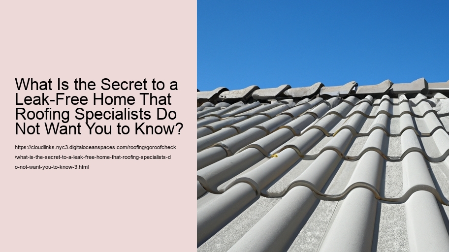 What Is the Secret to a Leak-Free Home That Roofing Specialists Do Not Want You to Know?