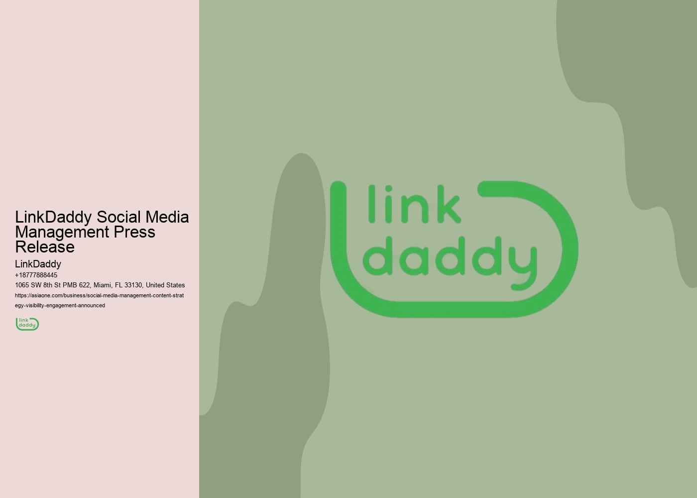 LinkDaddy Social Media Management Press Release