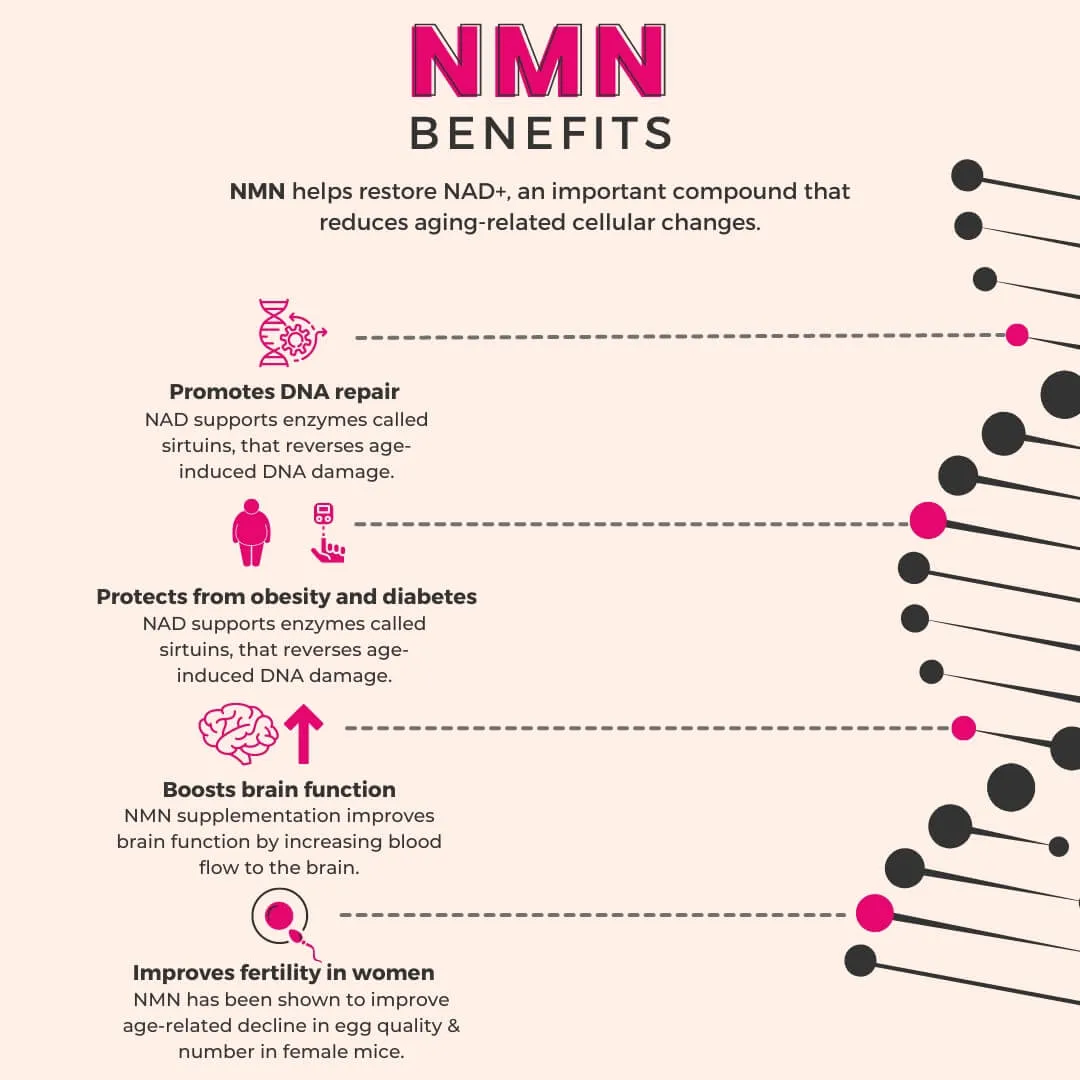 Benefits of NMN for Aging